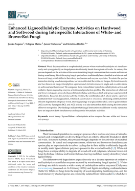 Enhanced Lignocellulolytic Enzyme Activities on Hardwood and Softwood During Interspeciﬁc Interactions of White- and Brown-Rot Fungi