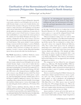 Clarification of the Nomenclatural Confusion of the Genus Sparassis [Polyporales: Sparassidaceae] in North America