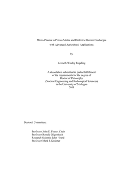 Micro-Plasma in Porous Media and Dielectric Barrier Discharges with Advanced Agricultural Applications by Kenneth Wesley Engeli