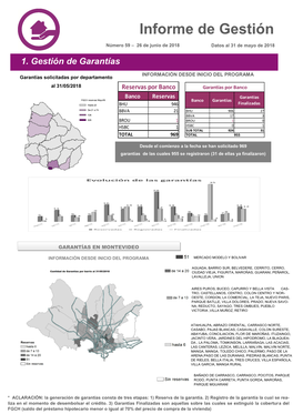 Informe De Gestión