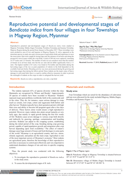 Bandicota Indica from Four Villages in Four Townships in Magway Region, Myanmar