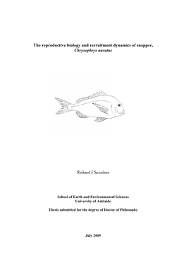 The Reproductive Biology and Recruitment Dynamics of Snapper, Chrysophrys Auratus