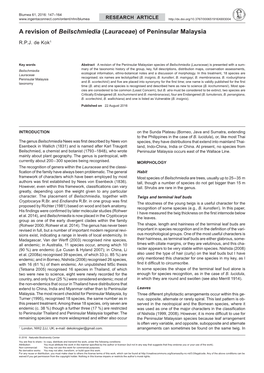 A Revision of Beilschmiedia (Lauraceae) of Peninsular Malaysia