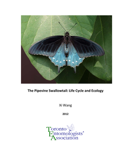 The Pipevine Swallowtail: Life Cycle and Ecology