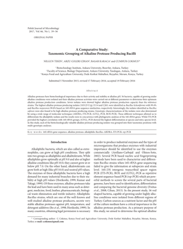 Taxonomic Grouping of Alkaline Protease Producing Bacilli