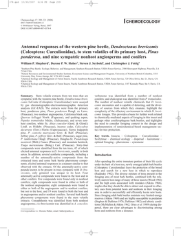 Antennal Responses of the Western Pine Beetle, Dendroctonus Brevicomis