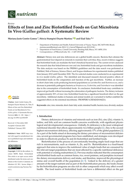 Effects of Iron and Zinc Biofortified Foods on Gut Microbiota In