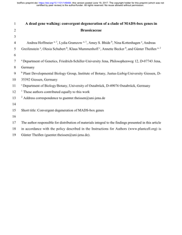 A Dead Gene Walking: Convergent Degeneration of a Clade of MADS-Box Genes in 2 Brassicaceae 3 4 Andrea Hoffmeier A, 1, Lydia Gramzow A, 1, Amey S
