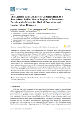 The Leafless Vanilla Species-Complex from the South