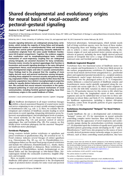 Shared Developmental and Evolutionary Origins for Neural Basis of Vocal–Acoustic and Pectoral–Gestural Signaling