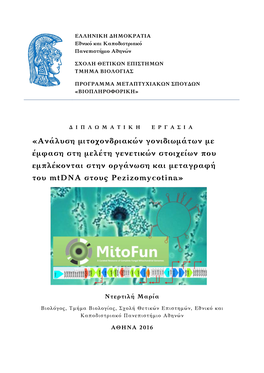 «Ανάλυση Μιτοχονδριακών Γονιδιωμάτων Με Έμφαση Στη Μελέτη Γενετικών Στοιχείων Που Εμπλέκονται Στην Οργάνωση Και Μεταγραφή Του Mtdna Στους Pezizomycotina»