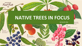 NATIVE TREES in FOCUS by Roniňo Gibe @EDCBINHI N COUNTRY O 1 Australia 2 Brazil 3 China 4 Colombia 5 Democratic Republic of Congo