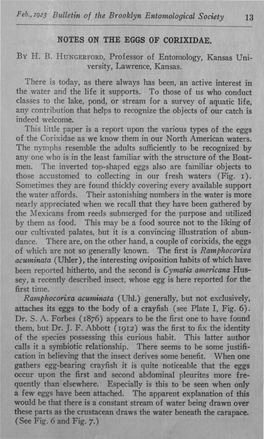 Feb., 1923 Bulletin of the Brooklyn Entomological Society NOTES ON