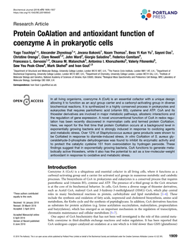 Protein Coalation and Antioxidant Function of Coenzyme a in Prokaryotic Cells