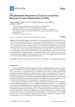 Morphometric Response of Galaxias Maculatus (Jenyns) to Lake Colonization in Chile