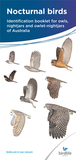 Nocturnal Birds Identifcation Booklet for Owls, Nightjars and Owlet-Nightjars of Australia