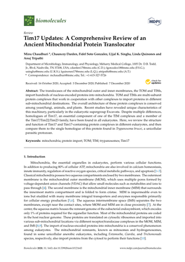 Tim17 Updates: a Comprehensive Review of an Ancient Mitochondrial Protein Translocator