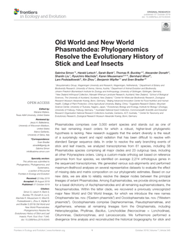 Phylogenomics Resolve the Evolutionary History of Stick and Leaf Insects