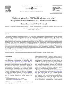 Phylogeny of Eagles, Old World Vultures, and Other Accipitridae Based on Nuclear and Mitochondrial DNA