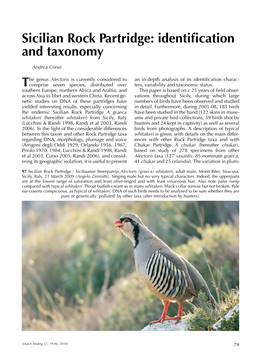 Sicilian Rock Partridge: Identification and Taxonomy