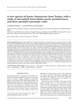 A New Species of Isoetes (Isoetaceae) from Turkey, with a Study of Microphyll Intercellular Pectic Protuberances and Their Potential Taxonomic Value