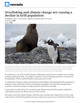 Overfishing and Climate Change Are Causing a Decline in Krill Population