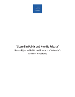 Human Rights and Public Health Impacts of Indonesia's Anti-LGBT