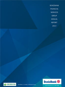 Denizbank Financial Services Group Annual Report 2013