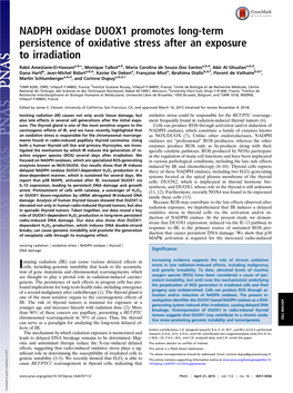 NADPH Oxidase DUOX1 Promotes Long-Term Persistence of Oxidative Stress After an Exposure to Irradiation