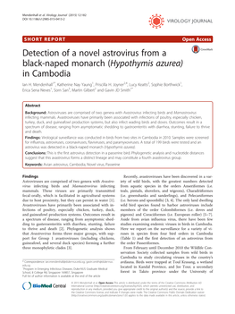 Hypothymis Azurea) in Cambodia Ian H