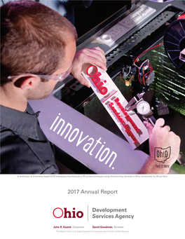 Development Services Agency Annual Report