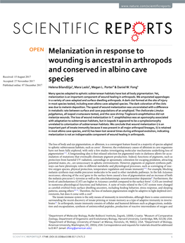 Melanization in Response to Wounding Is Ancestral in Arthropods And