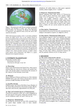 3. SYSTEMATIC PALAEONTOLOGY Formicidae Latreille 1802; Formiciinae Lutz [20]; Titanomyrma Lubei Gen. Et Sp. Nov. (A) Etymology G