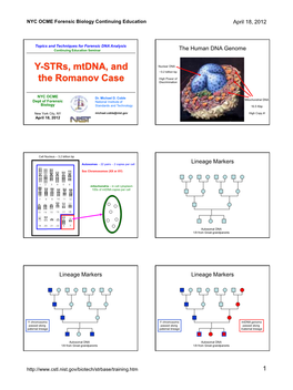 Y-Strs, Mtdna, and the Romanov Case