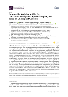 Intraspecific Variation Within the Utricularia Amethystina Species