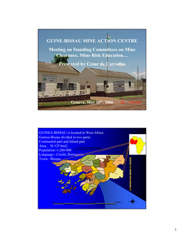 GUINE-BISSAU MINE ACTION CENTRE Meeting on Standing Committees on Mine Clearance, Mine Risk Education… Presented by Cesar De Carvalho