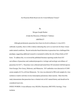 Are Passerine Birds Reservoirs for Avian Influenza Viruses?