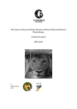 The Status of Lions and Their Threats in Niassa National Reserve, Mozambique