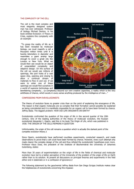 The Complexity of the Cell