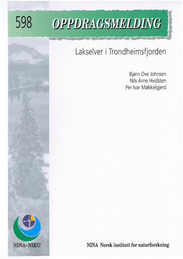 Lakselver I Trondheimsfjorden