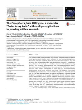 The Podosphaera Fusca TUB2 Gene, a Molecular “Swiss Army Knife” with Multiple Applications in Powdery Mildew Research