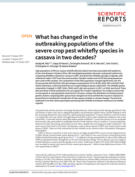What Has Changed in the Outbreaking Populations of the Severe Crop Pest