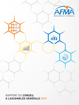 Rapport Du Conseil À L'assemblée Générale 2019