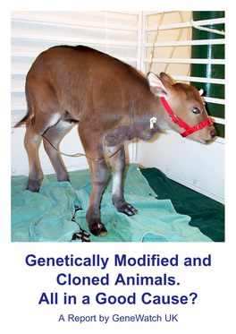 Genetically Modified and Cloned Animals. All in a Good Cause? a Report by Genewatch UK Genetically Modified and Cloned Animals