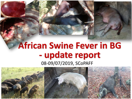 African Swine Fever in BG
