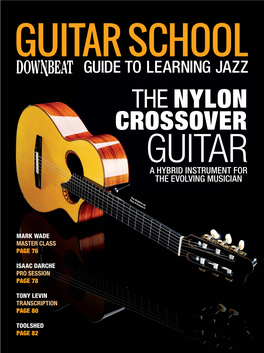 The Nylon Crossover Guitar a Hybrid Instrument for the Evolving Musician