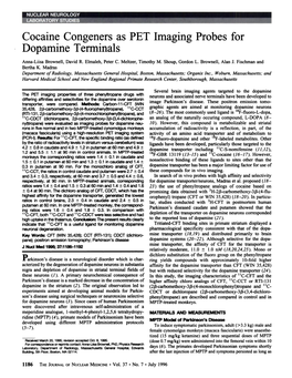 Cocaine Congeners As PET Imaging Probes for Dopamine Terminals