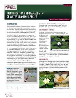 IDENTIFICATION and MANAGEMENT of WATER LILY-LIKE SPECIES Brittany Chesser1 and Todd Sink, Ph.D.2