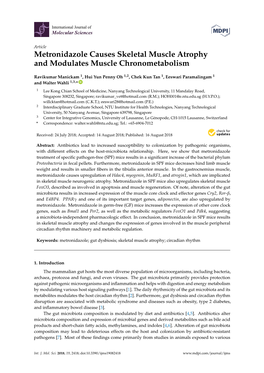 Metronidazole Causes Skeletal Muscle Atrophy and Modulates Muscle Chronometabolism