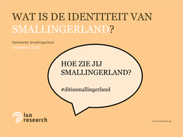 Wat Is De Identiteit Van Smallingerland?